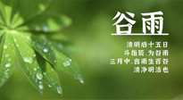 【二十四節(jié)氣灸】谷雨時節(jié)，用艾為您的健康加上一道保險！