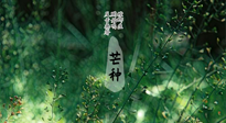 【二十四節(jié)氣灸】芒種節(jié)氣，培土補脾、養(yǎng)陰生津！艾灸這些穴位事半功倍！