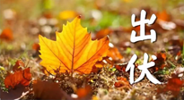 【三伏養(yǎng)生】出伏后做好養(yǎng)生很關鍵！一行要注意！