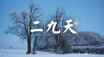 【三九養(yǎng)生】冬二九，扶陽補(bǔ)腎氣，讓你陽氣充足一整年！