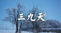 【三九養(yǎng)生】冬三九，三九第三灸，一年中最后艾灸黃金9天！