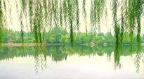 【養(yǎng)生知識】已入五九，六九將至，五九的養(yǎng)生秘訣，你知道嗎？
