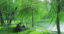 【養(yǎng)生知識】元宵入六九，春季已至，六九天的養(yǎng)生知識你知道多少？