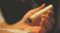 【艾灸知識(shí)】春暖花開，衣衫漸薄，再不減肥，身上的肉肉可藏不住了！