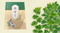 【行業(yè)資訊】國(guó)內(nèi)首部艾草專著《南陽(yáng)艾》，在南陽(yáng)新書首發(fā)！