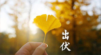 【艾灸三伏天】出伏啦！三防三宜兩穴位，防止身體“秋后算賬”！