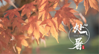 【二十四節(jié)氣灸】處暑，冬病夏治倒計(jì)時(shí)！秋涼真的要來了！