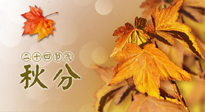 【二十四節(jié)氣灸】秋分節(jié)氣，平衡陰陽，巧用艾灸，潤燥養(yǎng)肺是關(guān)鍵！