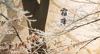 【二十四節(jié)氣灸】霜降節(jié)氣：艾灸四穴，護(hù)您冬天安然無恙！