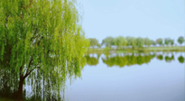 【艾灸知識(shí)】春三月，必艾灸穴位：疏肝理氣，養(yǎng)血調(diào)神！