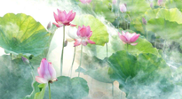 【養(yǎng)生知識(shí)】花開(kāi)半夏，夏至養(yǎng)生，這些知識(shí)一定要牢記！