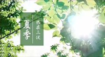 【艾灸三伏天】今年三伏不一般，仙草小助理建議大家早作準備哦！