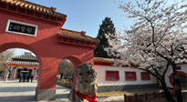 【行業(yè)資訊】新華財經：守正創(chuàng)新，中醫(yī)藥品牌化發(fā)展“更上一層樓”！
