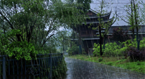 【艾灸知識】多雨的日子里，艾灸會不會加重濕氣呢？