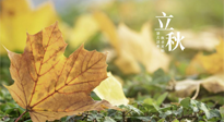 【節(jié)氣養(yǎng)生】甲辰立秋，“2做”、“2不做”，護好我們身體的正氣，預防外邪的侵襲！