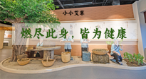 【艾草知識(shí)】小小艾草，渾身是寶，一生燃盡此身，皆為健康！