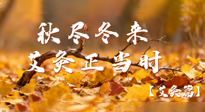 【健康/艾灸】秋盡冬來(lái)，艾灸正當(dāng)時(shí)——解鎖季節(jié)交替的養(yǎng)生密碼！